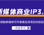 新媒体商业IP3.0,全面揭秘新媒体写作套路及其背后的底层逻辑(价值1299元)-老胡轻创社