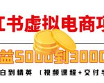 小红书虚拟电商项目:从小白到精英 月收益5000到30000 (视频课程+交付手册)-老胡轻创社