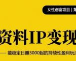 资料IP变现，能稳定日赚3000起的持续性盈利玩法-老胡轻创社