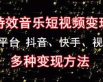 黄岛主《粒子特效音乐短视频变现项目》主攻平台抖音、快手、视频号多种变现方法-老胡轻创社
