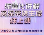 婉婉-主播拉新实操课，流程化讲解资深带货主播，让每个人都成为经得起考验的主播-老胡轻创社