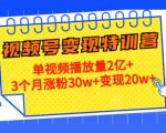 21天视频号变现特训营:单视频播放量2亿+3个月涨粉30w+变现20w+(第14期)-老胡轻创社