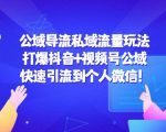 公域导流私域流量玩法：打爆抖音+视频号公域，快速引流到个人微信！-老胡轻创社