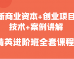 新商业资本+创业项目,技术+案例讲解,精英进阶班全套课程-老胡轻创社