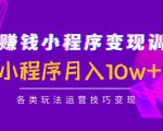 抖音赚钱小程序变现训练营：小程序月入10w+各类玩法运营技巧变现-老胡轻创社