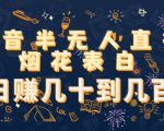 抖音半无人直播烟花表白,日赚几十到几百(教程+视频模板素材)-老胡轻创社
