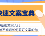 快速文案宝典,0基础文案入门,给不知道如何写好文案的你-老胡轻创社