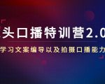 镜头口播特训营2.0版，学习文案编导以及拍摄口播能力（50节课时）-老胡轻创社