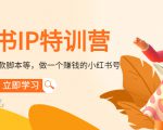 小红书IP特训营:从搭建-制作-爆款脚本等等,做一个赚钱的小红书号-老胡轻创社