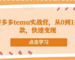 跨境拼多多temu实战营,从0到1打造爆款,快速变现-老胡轻创社