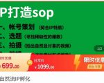 瑶瑶·自然流IP孵化,系统掌握IP孵化全流程,也能学到选题,剪辑,账号运营经验-老胡轻创社