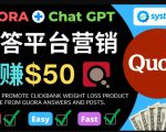 免费推广Clickbank热销商品，每单25.07美元，日赚50美元以上-老胡轻创社