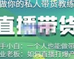 硬核传媒·直播带货（私人教练），实操实战教学，通俗易懂，学完后新手小白一个人也能做带货-老胡轻创社