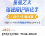 瑶瑶·自然流短视频IP孵化第二期，14天线上实战训练营，赋能100个人成为有数据能赚钱的独立IP孵化手-老胡轻创社