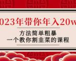 韭菜-联盟·2023年带你年入20w+方法简单粗暴,一个教你割韭菜的课程-老胡轻创社