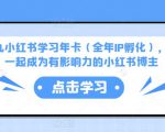 厦九九小红书学习年卡(全年IP孵化),沉浸式学习,一起成为有影响力的小红书博主-老胡轻创社