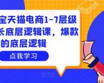 大圣淘宝天猫电商1-7层级盈利增长底层逻辑课，爆款的底层逻辑-老胡轻创社