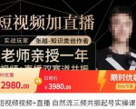 张越·短视频+直播，自然流三频共振起号实操课，​短视频所有流量玩法讲解-老胡轻创社