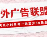 外面收费1980的最新国外LEAD广告联盟搬砖项目,单号一天至少30美金【详细玩法教程】-老胡轻创社
