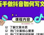 新手做抖音如何写文案,手把手实操如何拆解热门文案-老胡轻创社