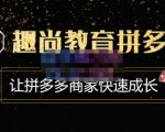 趣尚教育·拼多多运营实操VIP特训营,让拼多多商家快速成长-价值3180元-老胡轻创社