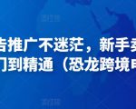 亚马逊广告推广不迷茫,新手卖家产品运营入门到精通(恐龙跨境电商)-老胡轻创社
