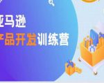 亚马逊产品开发训练营，能爆单的产品开发方法，助你突出重围-老胡轻创社
