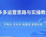 拼多多店铺运营思路与实操教程,快速学会拼多多开店和运营,少踩坑,多盈利-老胡轻创社