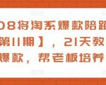 108将淘系爆款陪跑营【第11期】,21天教运营打爆款,帮老板培养运营-老胡轻创社