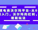 跨境电商沃尔玛平台-从0基础到入门，沃尔玛的红利，跨境新玩法-老胡轻创社
