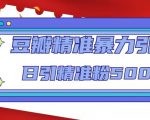 豆瓣精准暴力引流，日引精准粉500+【12课时】-老胡轻创社