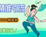 soul精准引流系列课程，一天引流100+精准粉，适合各类行业-老胡轻创社