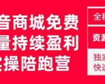 抖音商城搜索持续盈利陪跑成长营,抖音商城搜索从0-1、从1到10的全面解决方案-老胡轻创社