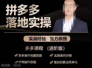 拼多多实战篇·落地实操:多多操作完整思路+实操案例讲解+拆解操作思路+复杂的算法简单化-老胡轻创社