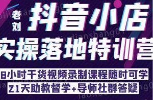 抖音小店实操落地特训营：抖音小店无货源精细化运营，抖店商品卡流量（22节）-老胡轻创社