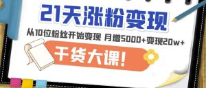 21天精准涨粉变现干货大课：从10位粉丝开始变现月增5000+变现20w+-老胡轻创社