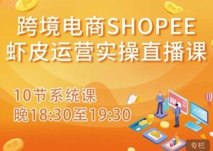 跨境电商Shopee虾皮运营实操直播课,从零开始学,入门到精通(10节系统课)-老胡轻创社