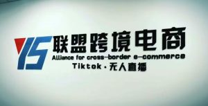 YS联盟·Tiktok无人直播,不出镜不剪辑不拍摄不发货无售后的跨境短视频躺赚玩法-老胡轻创社