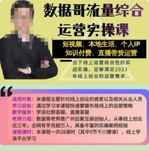 数据哥流量综合运营实操课:短视频、本地生活、个人IP知识付费、直播带货运营-老胡轻创社