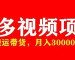 多多带货视频快速50爆款拿带货资格，搬运带货，月入30000【全套脚本+详细玩法】-老胡轻创社