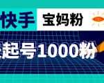 抖音快手三天起号涨粉1000宝妈粉丝的核心方法【详细玩法教程】-老胡轻创社