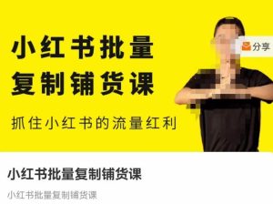 张宾·小红书批量复制铺货课,抓住小红书的流量红利 (更新2023年2月)-老胡轻创社