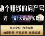 刘广标·同城房产号线上陪跑课,拍摄、剪辑、写文案、直播,做一个具有潜力价值的房产号-老胡轻创社