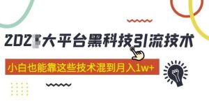 大平台黑科技引流技术,小白也能靠这些技术混到月入1w+(2022年的课程)-老胡轻创社