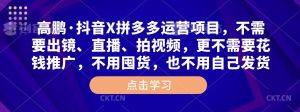 高鹏·抖音X拼多多运营项目,不需要出镜、直播、拍视频,不需要花钱推广,不用囤货,不用自己发货-老胡轻创社