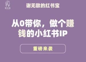谢无敌·小红书运营大宝典,从0带你做个赚钱的小红书IP-老胡轻创社
