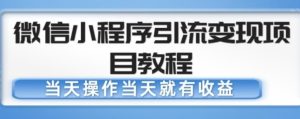 微信小程序引流变现项目教程,当天操作当天就有收益,变现不再是难事-老胡轻创社