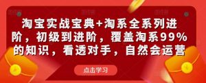 淘宝实战宝典+淘系全系列进阶,初级到进阶,覆盖淘系99%的知识,看透对手,自然会运营-老胡轻创社