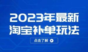 2023年最新淘宝补单玩法,18节课让教你快速起新品,安全不降权-老胡轻创社