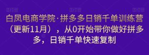 白凤电商学院·拼多多日销千单训练营,从0开始带你做好拼多多,日销千单快速复制(更新知2023年3月)-老胡轻创社